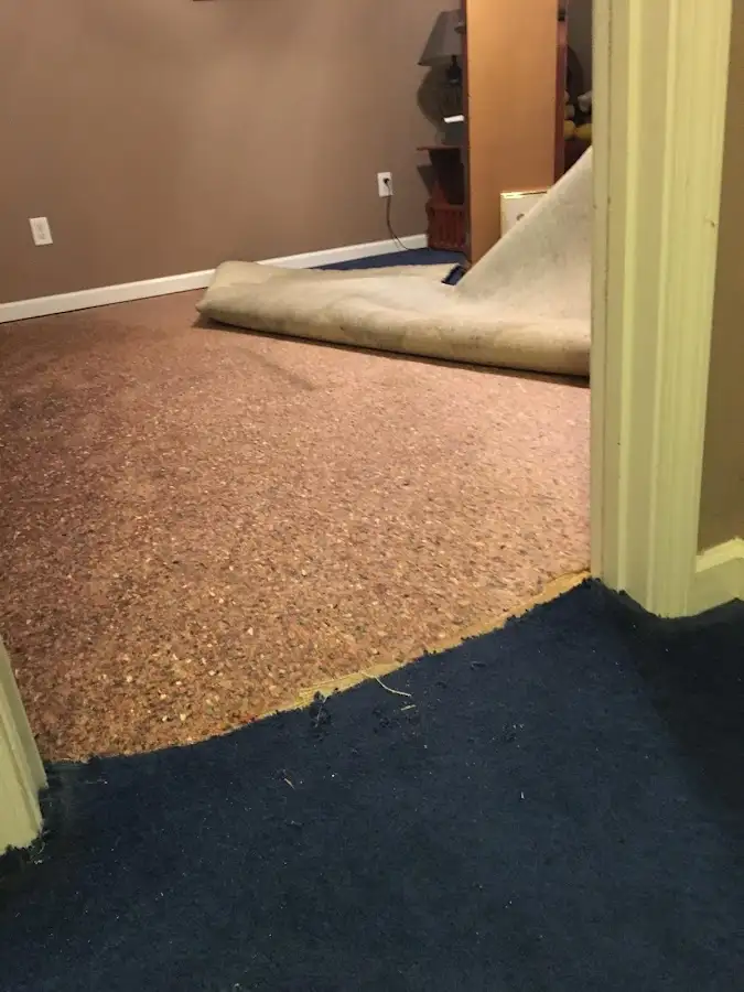 Carpet pad removal revealing water damage during Water Mitigation Services in Rio Rancho
